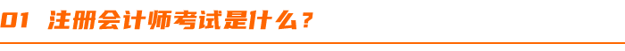 注冊會(huì)計(jì)師(shī)考試是(shì)什(shén)麽? 注冊會(huì)計(jì)師(shī)考試是(shì)什(shén)麽?