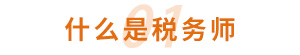 什(shén)麽是(shì)稅務師(shī)